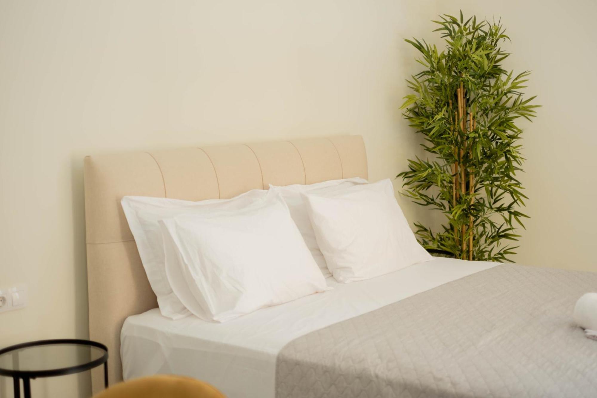Living Culture Apartments أثينا المظهر الخارجي الصورة